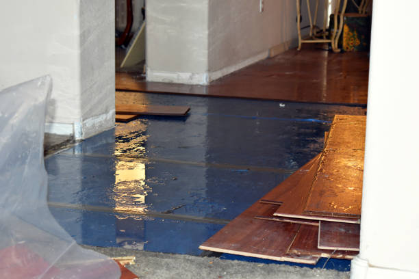Professional Basement Flood Cleanup technician working in Union City, IN